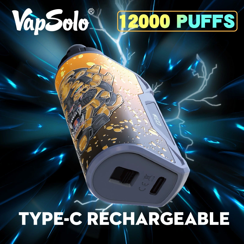 vapsolo 2 5 available disposable vape eu warehouse viking 12000 12k puff vaper electronic cigarette germany vaporizer.webp